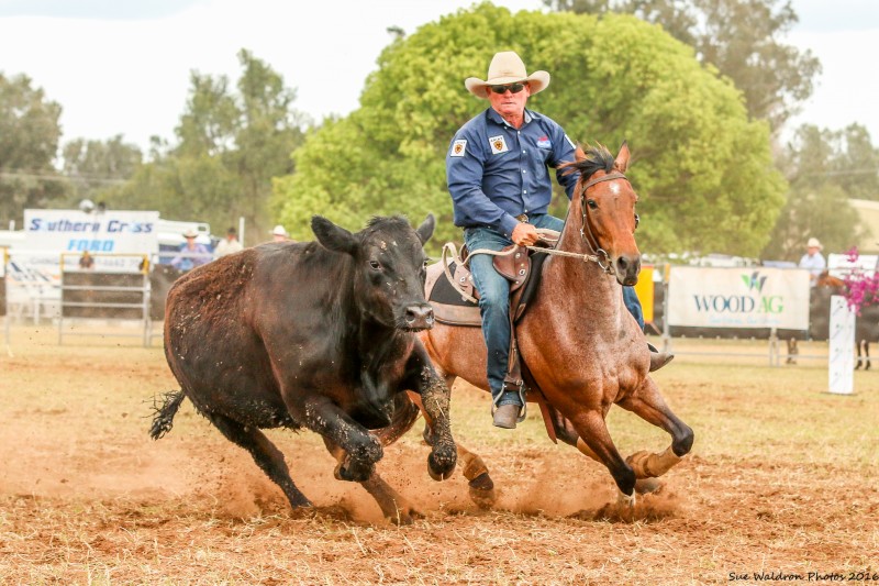 Campdrafting over the years Pete Comiskey Campdrafting
